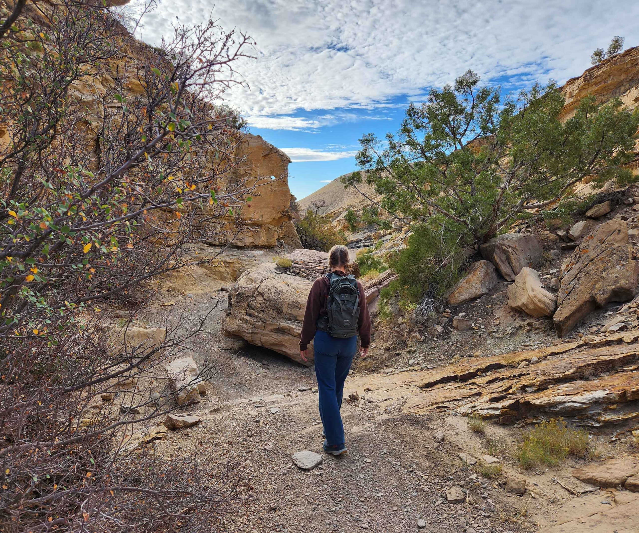 Exploring trails close to the ranch